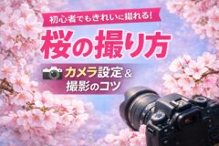 桜の撮り方ガイド