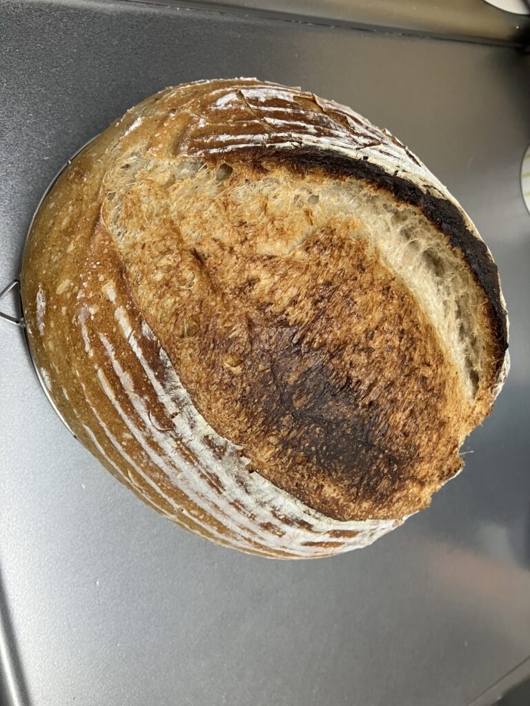 天然酵母カンパーニュ